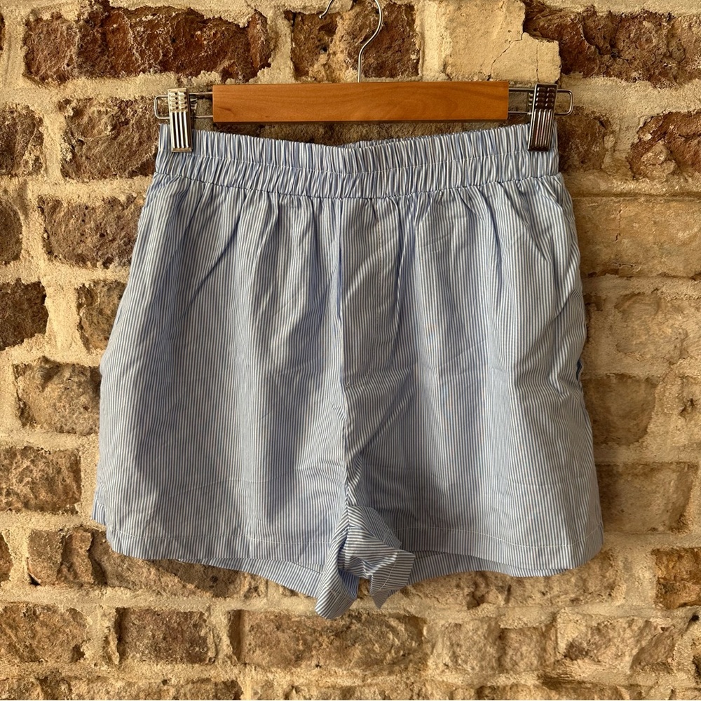 Blue Striped Shorts